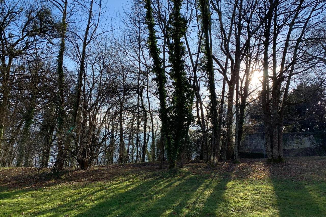 Apartment #p0 Le Luminous T2 Garden - Terrace Montbonnot-Saint-Martin